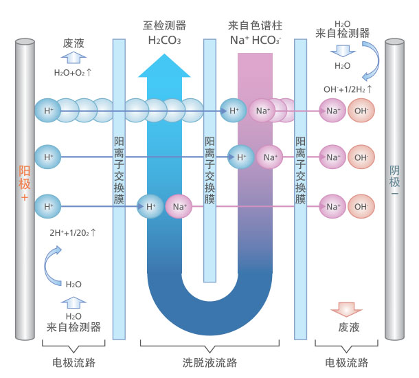 HIC-ESP离子色谱仪(图1) HIC-ESP离子色谱仪(图1)