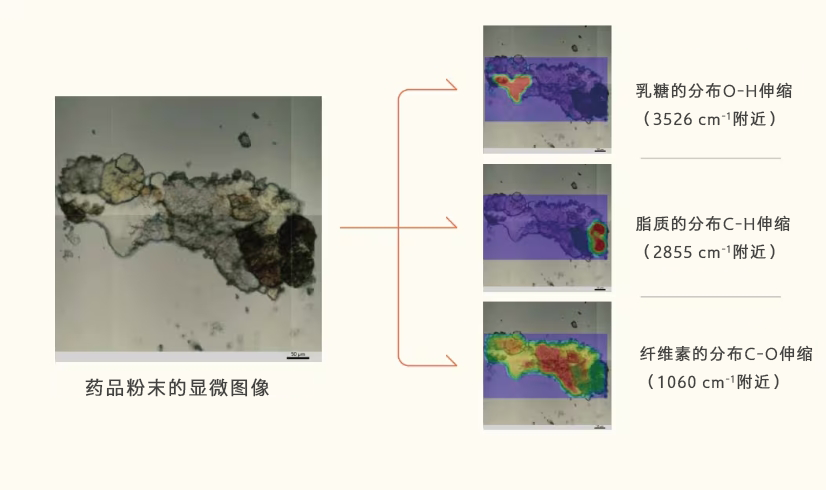AIMsight红外显微镜(图11)