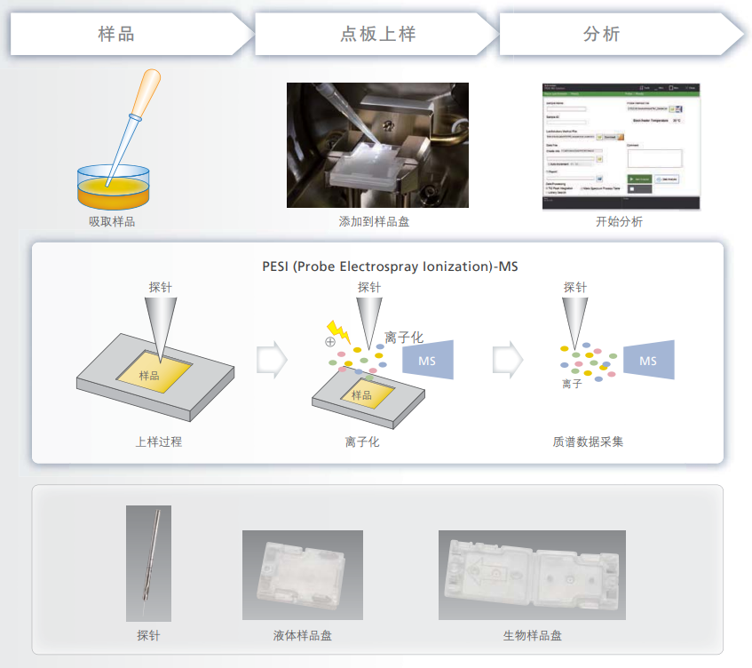 DPiMS-8060 原位探针电喷雾离子源(图1)
