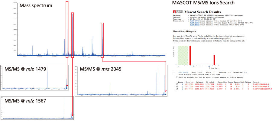 基质辅助激光解吸/电离数字离子阱质谱仪MALDImini-1(图2) 基质辅助激光解吸/电离数字离子阱质谱仪MALDImini-1(图2)