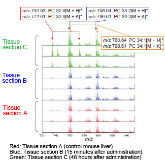 质谱成像分析脂质变化性(图2) 质谱成像分析脂质变化性(图2)