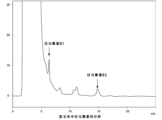黄玉米所含毒素（霉菌毒素）