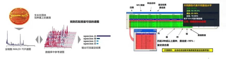 乳香乳味寻踪,乳品品质探秘——岛津乳制品科研整体解决方案(一)(图3) 乳香乳味寻踪,乳品品质探秘——岛津乳制品科研整体解决方案(一)(图3)