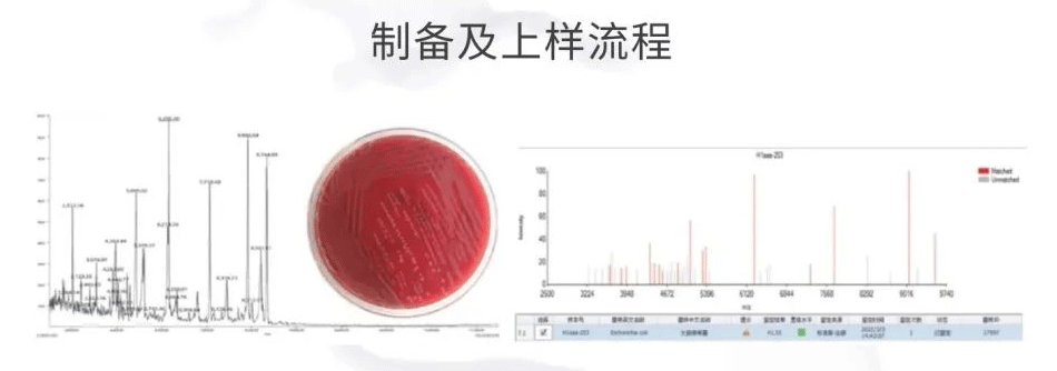 乳香乳味寻踪,乳品品质探秘——岛津乳制品科研整体解决方案(一)(图6) 乳香乳味寻踪,乳品品质探秘——岛津乳制品科研整体解决方案(一)(图6)