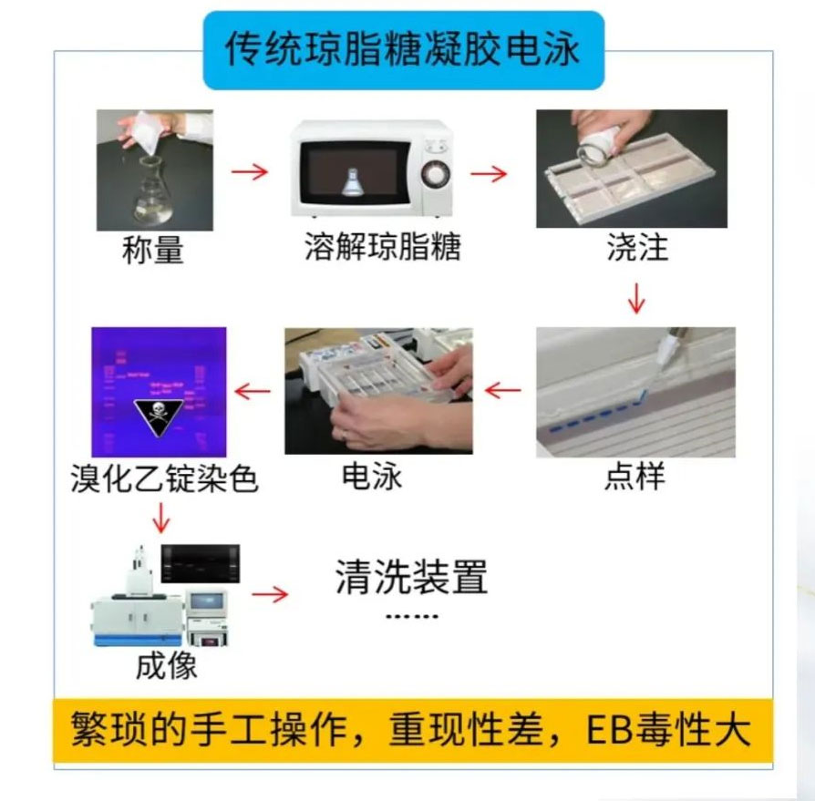 乳香乳味寻踪,乳品品质探秘——岛津乳制品科研整体解决方案(四)特色技术方案(图9) 乳香乳味寻踪,乳品品质探秘——岛津乳制品科研整体解决方案(四)特色技术方案(图9)